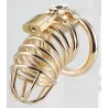 CockLock Cage de Chasteté Golden Bird 9 x 3.5cm